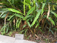 -广州神农草堂中医药博物馆