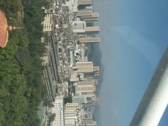 -昆明动物园