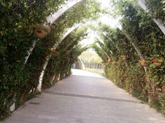 -天津东丽湖风景区