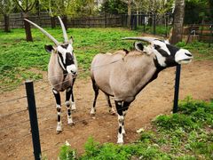 -大连森林动物园