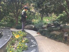 -新湖明珠城