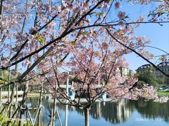 -新江湾城公园