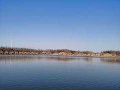 -溱湖国家湿地公园