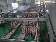 -锡林郭勒盟羊羊牧业股份有限公司