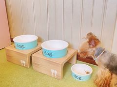 -Tiffany & Co.蒂芙尼
(南京德基广场店)