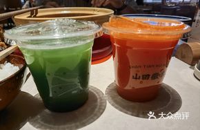 Freshly Squeezed Vegetable Juice