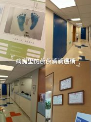 -杭州贝瑞斯美华妇儿医院·早孕·产检·儿科