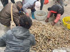 -青岛沙子口国家中心渔港