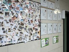 -半岛宠物医院24小时(白果林店)