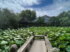 -上海醉白池公园