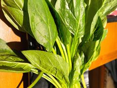 -呷哺呷哺(融创茂店)