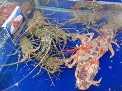-三亚新鸿港水果一级批发市场