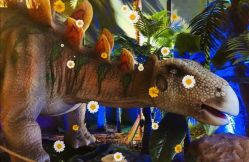 -恐龙探索乐园(磁器口店)