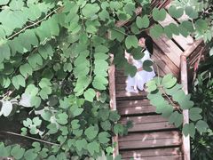 -郑州植物园