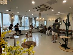 -共舞时光猫咖·狗咖(新街口店)