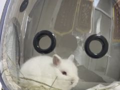 -美美宠物诊疗中心·异宠·骨科(滨江东信分院)
