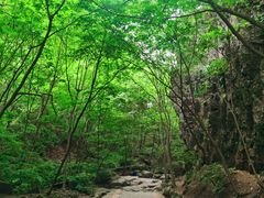 -野三坡百里峡景区