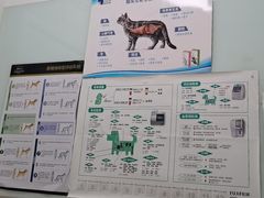 -宠福鑫康馨动物医院·骨科·眼科