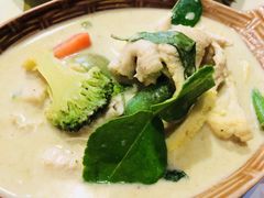 -Jungle Kitchen