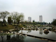 -东南花都花博园