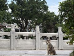 -荔湾湖公园