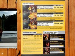 -怀托摩萤火虫洞