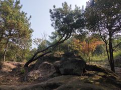 -南京市无想山景区