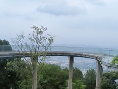 -缙云山景区