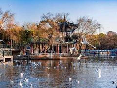 -翠湖公园