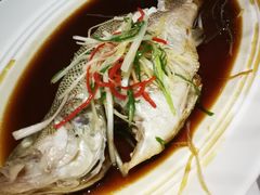 东坡江团鱼-眉州东坡·熊猫主题餐厅(枫蓝店)