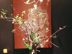 -蘇锦宴·淮扬菜烤鸭·小院(三元桥霄云路店)