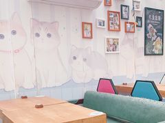 大堂-猫小院猫主题咖啡厅(北锣店)