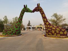 -西安秦岭野生动物园