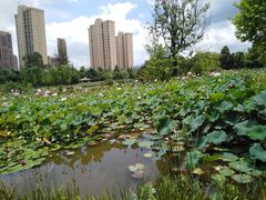 -萨尔瓦多Salvador's
