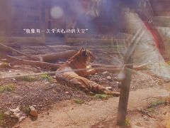 -南昌动物园
