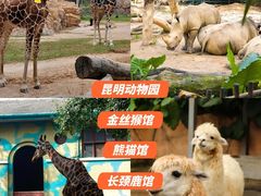 -昆明动物园