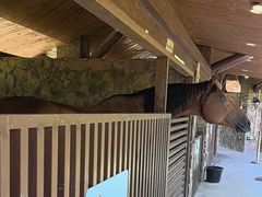 -珠海海泉湾神秘岛亲子乐园