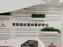 -奈斯宠物医院·核磁CT·异宠专科·内镜(中南店)