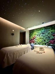 -VELEE·SPA高定疗愈会所