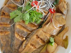 -鸿运美食府