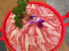 -汉方猪肚鸡火锅(金华之心店)