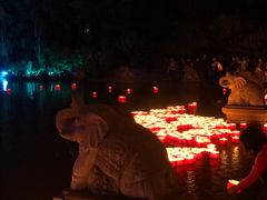 -澜沧江湄公河之夜歌舞篝火晚会