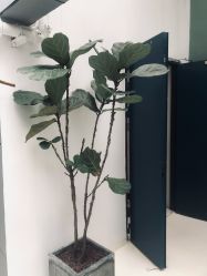 -无界瑜伽普拉提