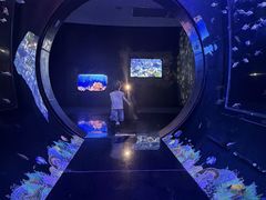 -海合安成都极地海洋公园