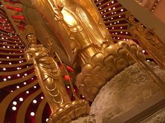-兴隆文化园景区