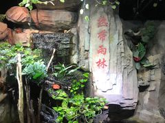 -嘉兴海底世界