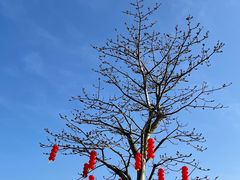 -露天矿生态公园