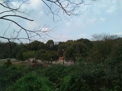 -白马涧龙池景区