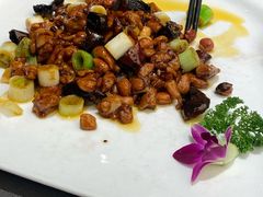 -芙蓉凰花园酒楼