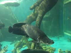 -多彩贵州城极地海洋世界